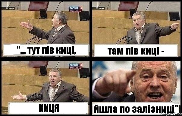 "... тут пів киці, там пів киці - КИЦЯ йшла по залізниці", Комикс с Жириновским