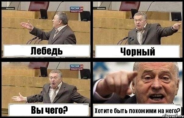 Лебедь Чорный Вы чего? Хотите быть похожими на него?, Комикс с Жириновским