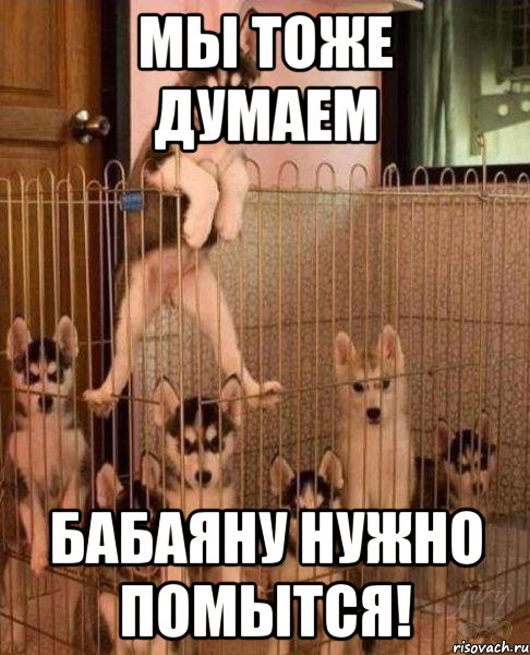 мы тоже думаем бабаяну нужно помытся!