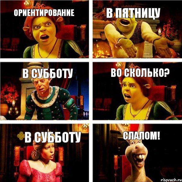 ориентирование в пятницу в субботу во сколько? в субботу слалом!, Комикс  Шрек Фиона Гарольд Осел