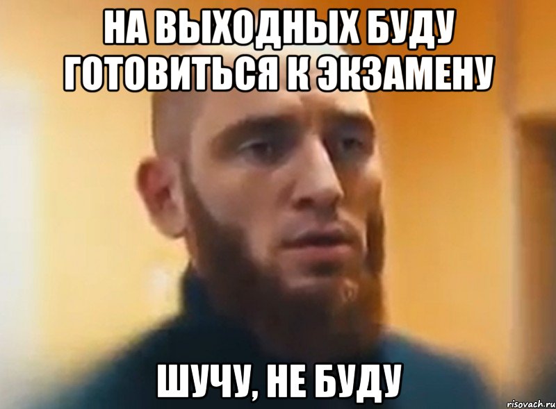 на выходных буду готовиться к экзамену шучу, не буду, Мем Шучу