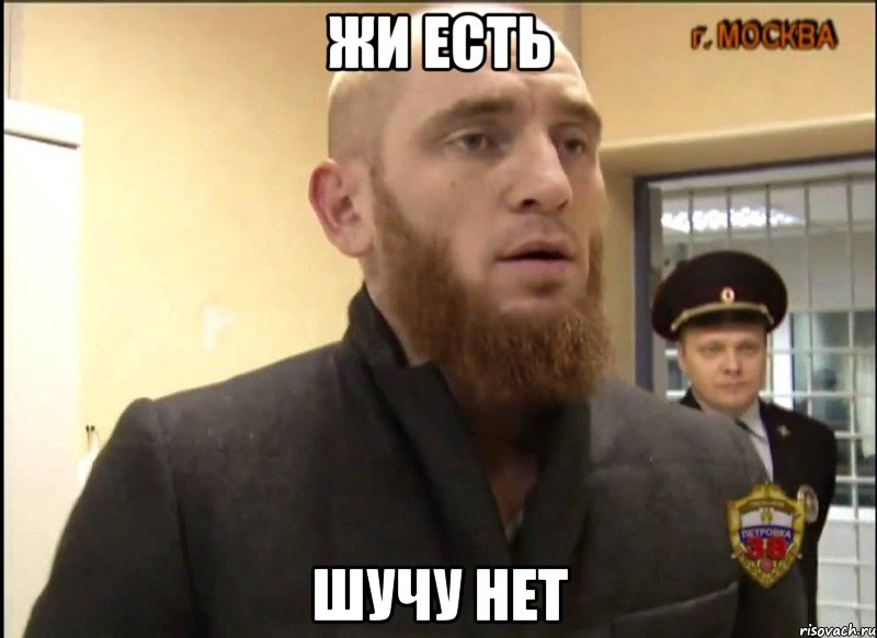 ЖИ ЕСТЬ ШУЧУ НЕТ, Мем Шучу