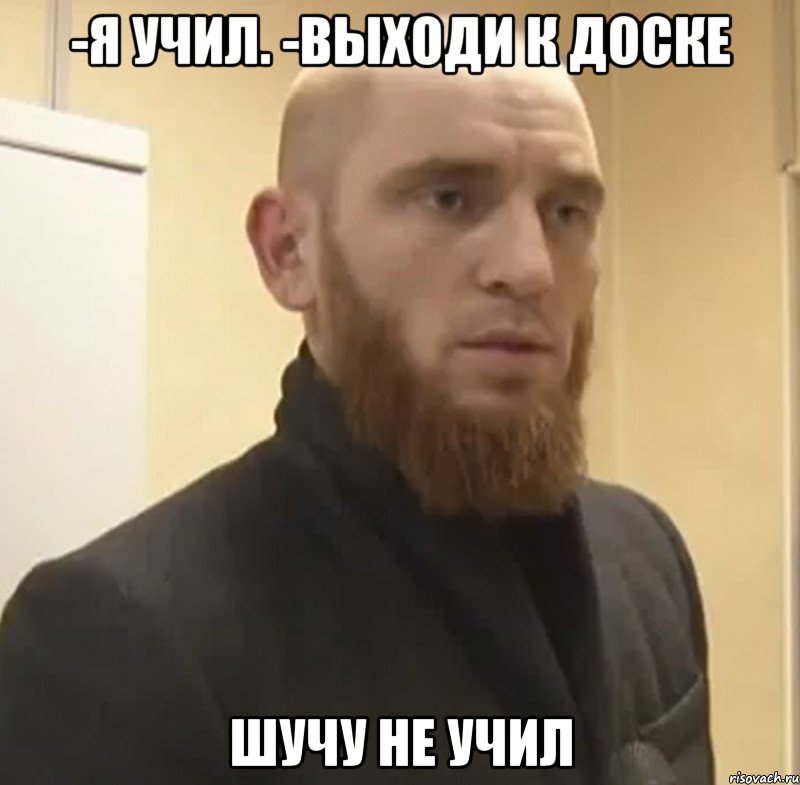 -Я УЧИЛ. -ВЫХОДИ К ДОСКЕ ШУЧУ НЕ УЧИЛ, Мем Шучу