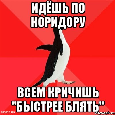 Идёшь по коридору всем кричишь "БЫСТРЕЕ БЛЯТЬ", Мем  социально-агрессивный пингвин