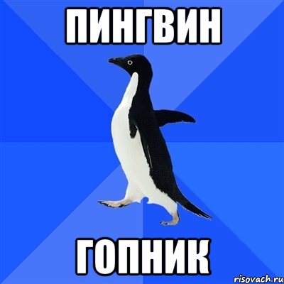 Пингвин Гопник, Мем  Социально-неуклюжий пингвин