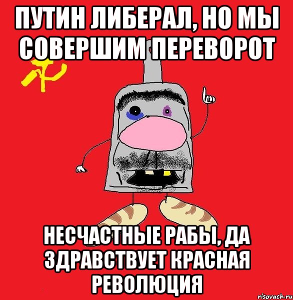 Путин либерал, но мы совершим переворот Несчастные рабы, да здравствует красная революция