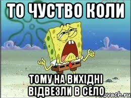 То чуство коли Тому на вихідні відвезли в село, Мем Спанч Боб плачет