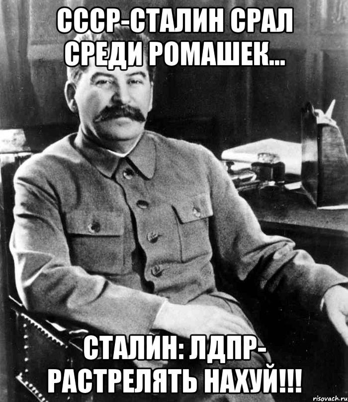 ссср-сталин срал среди ромашек... сталин: лдпр- растрелять нахуй!!!, Мем  иосиф сталин