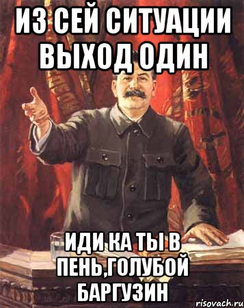 из сей ситуации выход один иди ка ты в пень,голубой Баргузин, Мем  сталин цветной