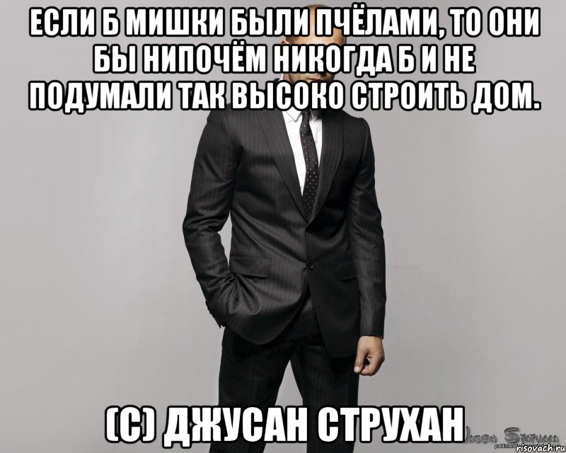 если б мишки были пчёлами, то они бы нипочём никогда б и не подумали так высоко строить дом. (с) джусан струхан, Мем  стетхем