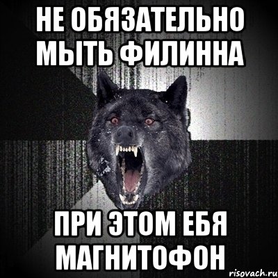 не обязательно мыть филинна при этом ебя магнитофон, Мем Сумасшедший волк