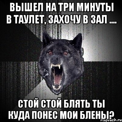 вышел на три минуты в таулет, захочу в зал .... стой стой блять ты куда понес мои блены?, Мем Сумасшедший волк