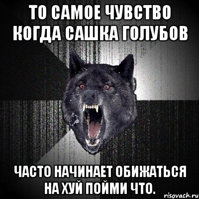 то самое чувство когда сашка голубов часто начинает обижаться на хуй пойми что., Мем Сумасшедший волк