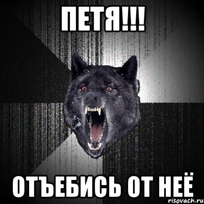 ПЕтя!!! Отъебись от неё, Мем Сумасшедший волк