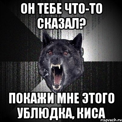 он тебе что-то сказал? покажи мне этого ублюдка, киса, Мем Сумасшедший волк