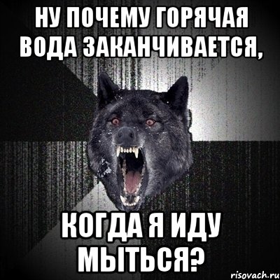 Ну почему горячая вода заканчивается, Когда я иду мыться?, Мем Сумасшедший волк