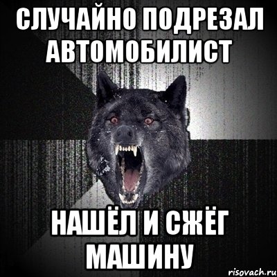 случайно подрезал автомобилист нашёл и сжёг машину, Мем Сумасшедший волк