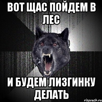 ВОТ ЩАС ПОЙДЕМ В ЛЕС И БУДЕМ ЛИЗГИНКУ ДЕЛАТЬ, Мем Сумасшедший волк