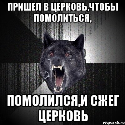 пришел в церковь,чтобы помолиться, помолился,и сжег церковь, Мем Сумасшедший волк