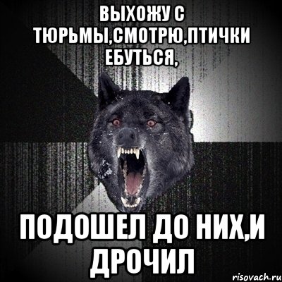 выхожу с тюрьмы,смотрю,птички ебуться, подошел до них,и дрочил, Мем Сумасшедший волк