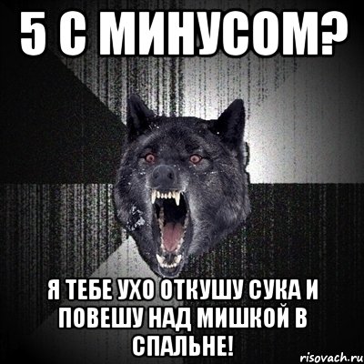 5 с минусом? Я тебе ухо откушу сука и повешу над мишкой в спальне!, Мем Сумасшедший волк