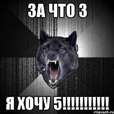 ЗА ЧТО 3 Я ХОЧУ 5!!!!!!!!!!!, Мем Сумасшедший волк