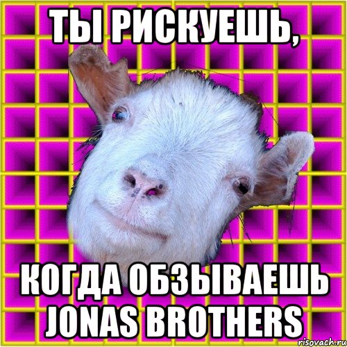 ты рискуешь, когда обзываешь jonas brothers, Мем типичная коза