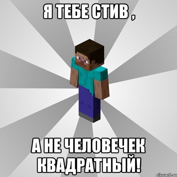 Я тебе Стив , А не человечек квадратный!, Мем Типичный игрок Minecraft