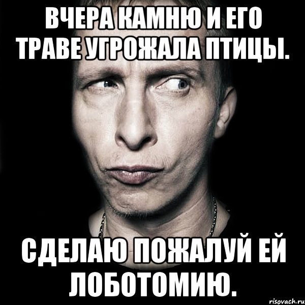 Вчера камню и его траве угрожала птицы. Сделаю пожалуй ей лоботомию., Мем  Типичный Охлобыстин