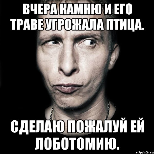 Вчера камню и его траве угрожала птица. Сделаю пожалуй ей лоботомию., Мем  Типичный Охлобыстин