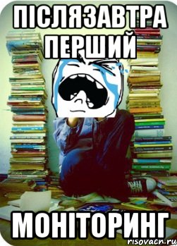 післязавтра перший моніторинг, Мем Типовий десятикласник