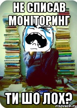 не списав моніторинг ти шо лох?, Мем Типовий десятикласник