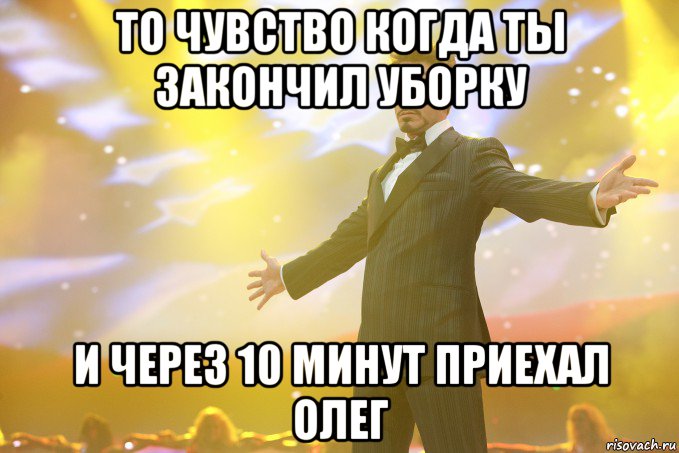 то чувство когда ты закончил уборку и через 10 минут приехал олег, Мем Тони Старк (Роберт Дауни младший)