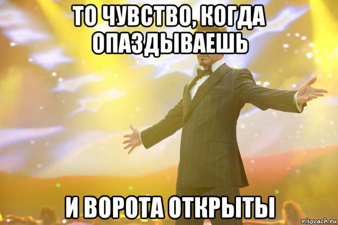 то чувство, когда опаздываешь и ворота открыты, Мем Тони Старк (Роберт Дауни младший)