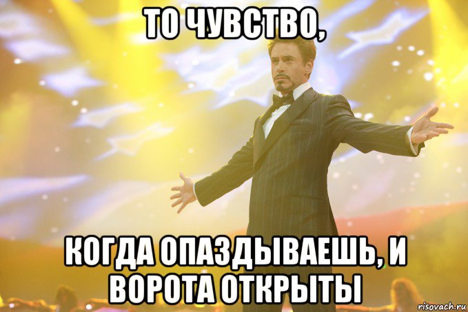 то чувство, когда опаздываешь, и ворота открыты, Мем Тони Старк (Роберт Дауни младший)