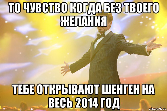 то чувство когда без твоего желания тебе открывают шенген на весь 2014 год, Мем Тони Старк (Роберт Дауни младший)