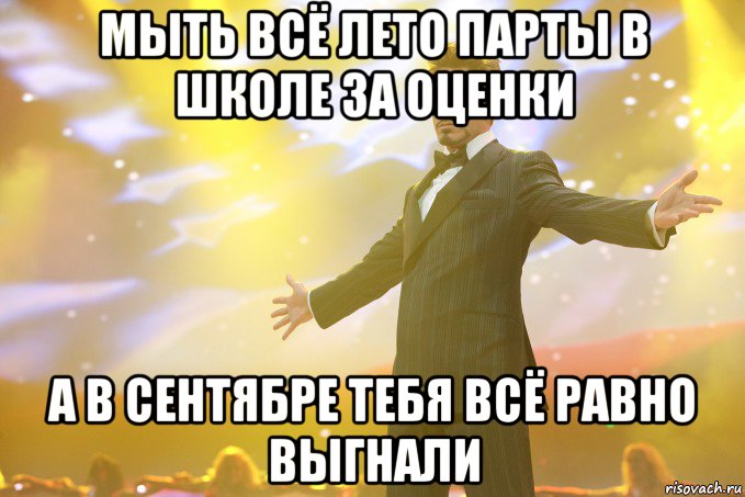 мыть всё лето парты в школе за оценки а в сентябре тебя всё равно выгнали, Мем Тони Старк (Роберт Дауни младший)