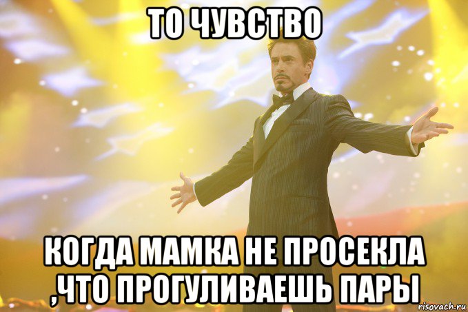 то чувство когда мамка не просекла ,что прогуливаешь пары, Мем Тони Старк (Роберт Дауни младший)