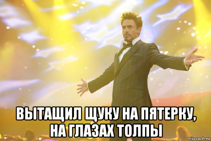  Вытащил щуку на пятерку, на глазах толпы, Мем Тони Старк (Роберт Дауни младший)