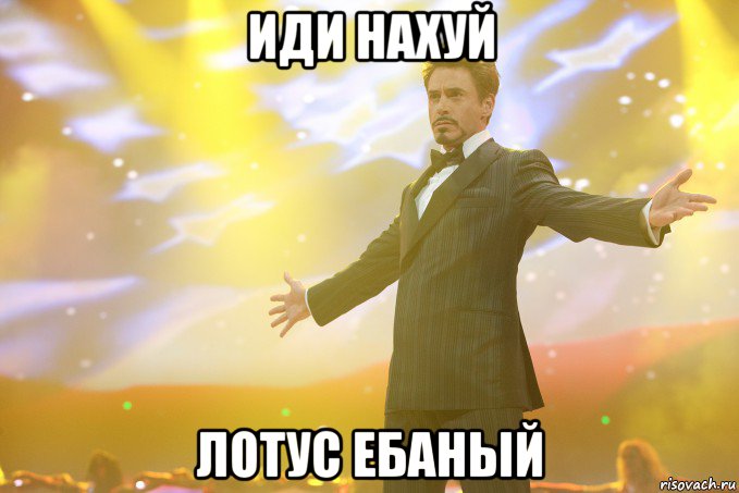 Иди нахуй Лотус ебаный, Мем Тони Старк (Роберт Дауни младший)