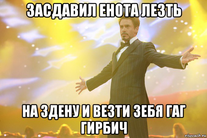 засдавил енота лезть на здену и везти зебя гаг гирбич, Мем Тони Старк (Роберт Дауни младший)