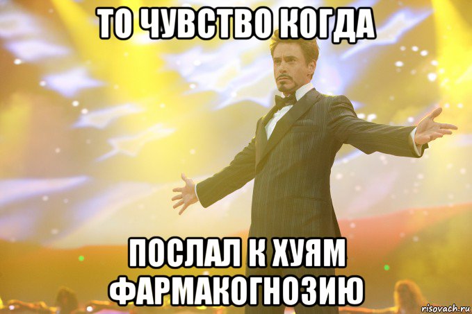 То чувство когда Послал к хуям фармакогнозию, Мем Тони Старк (Роберт Дауни младший)