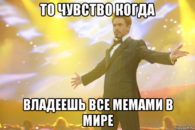 то чувство когда владеешь все мемами в мире, Мем Тони Старк (Роберт Дауни младший)