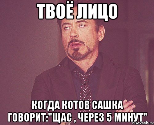 твоё лицо когда котов сашка говорит:"щас , через 5 минут", Мем твое выражение лица