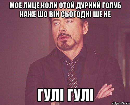 мое лице,коли отой дурний голуб каже шо він сьогодні ше не гулі гулі, Мем твое выражение лица