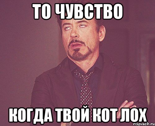 то чувство когда твой кот лох, Мем твое выражение лица