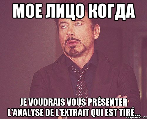 мое лицо когда je voudrais vous présenter l'analyse de l'extrait qui est tiré..., Мем твое выражение лица