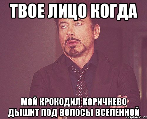 Твое лицо когда мой крокодил коричнево дышит под волосы вселенной, Мем твое выражение лица