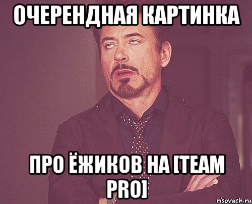 ОЧЕРЕНДНАЯ КАРТИНКА ПРО ЁЖИКОВ НА [Team Pro], Мем твое выражение лица