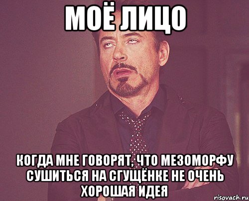 Моё лицо когда мне говорят, что мезоморфу сушиться на сгущёнке не очень хорошая идея, Мем твое выражение лица